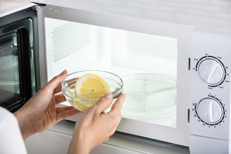 Bacteria Hotspots in the Kitchen